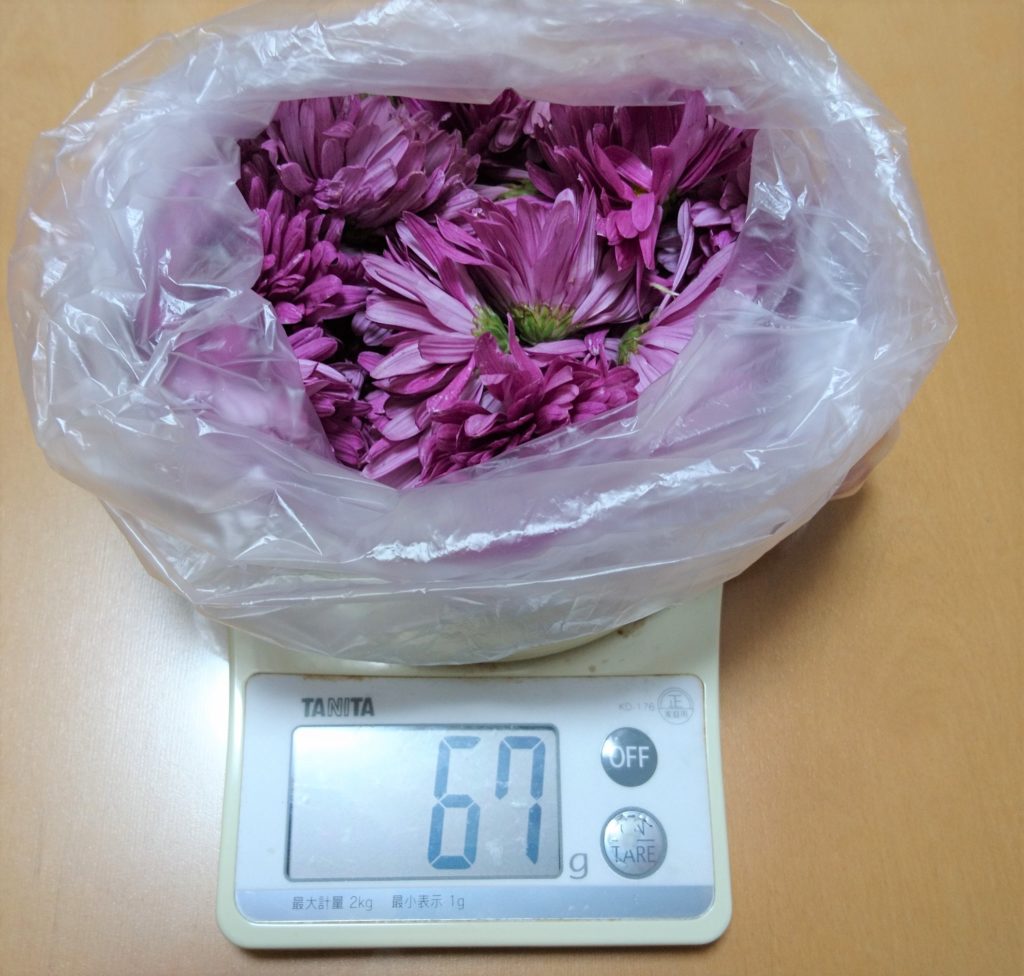 菊の花の重さ